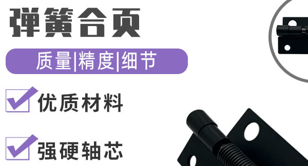 彈簧合頁，引領生活|廣有五金&東莞合頁?
